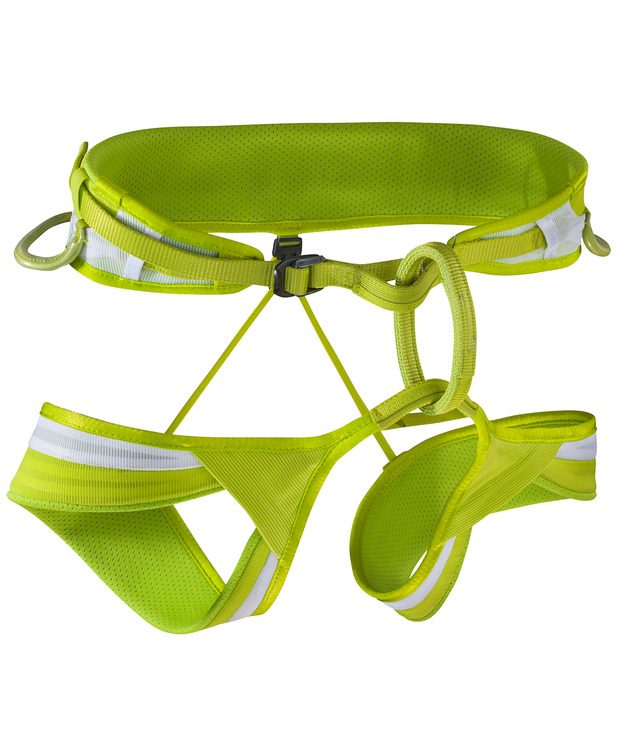 Ace Harness