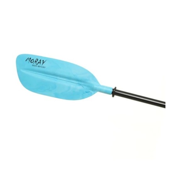 Moray-blue-550x550h