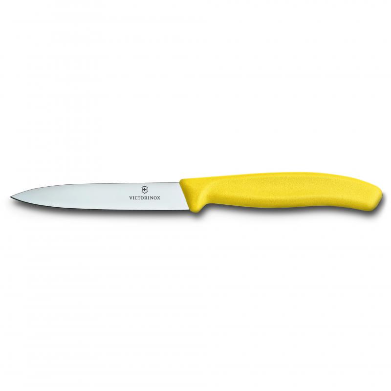 Paring Knife 10 cm Pointed Blade