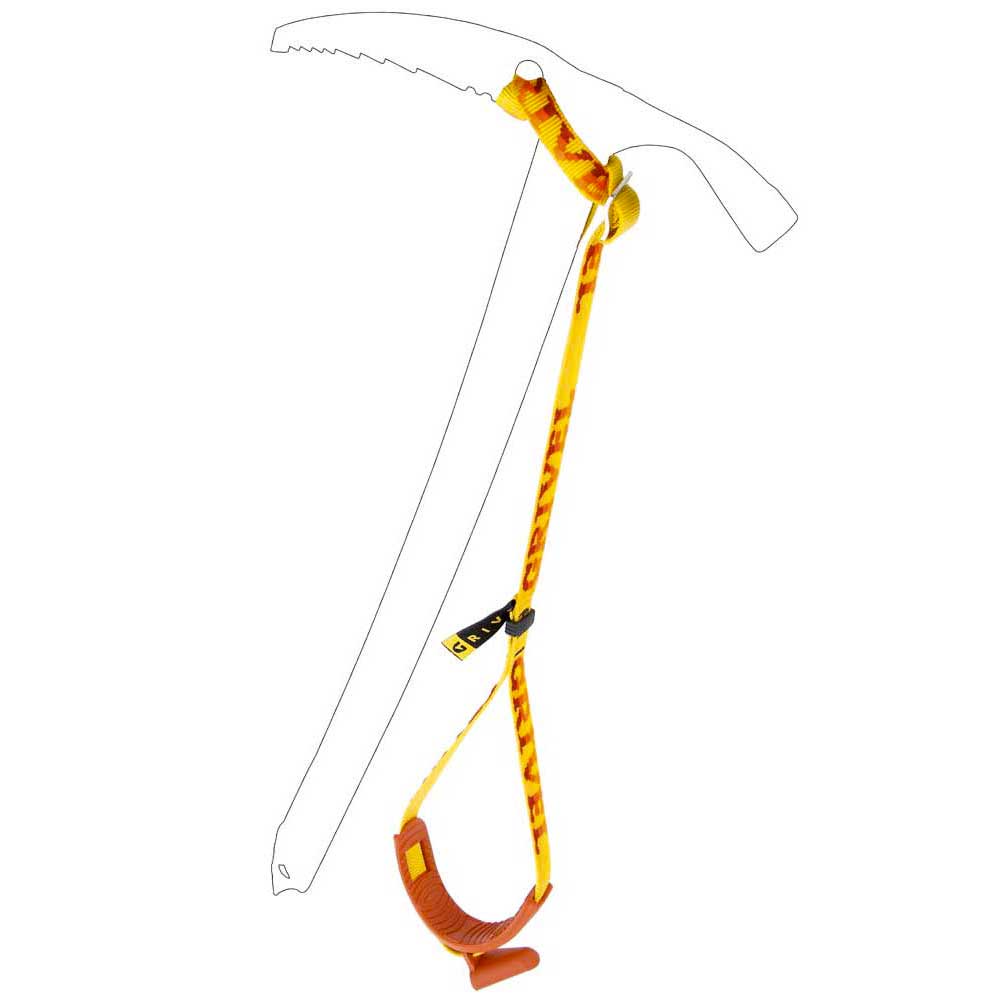 Long Leash