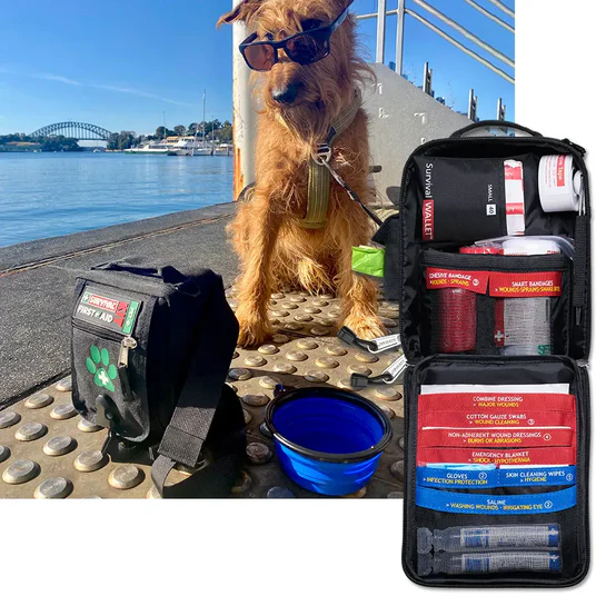 section-pet-kit2