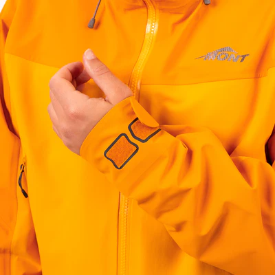 a17